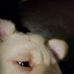 Samuel Litton - Facebook
