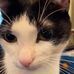 Sam Lockard - Facebook