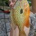 Samuel Lockridge - Facebook