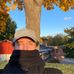 Samuel Löfgren - Facebook