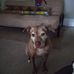 Samuel Lofgren - Facebook