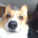 Loftus Samuel - @lsamuelloftus - Instagram
