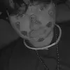 samuelloftus7 - @samuelloftus7 - TikTok