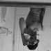Samuel Lovato - Facebook