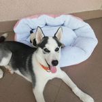 Samuel Malík - @samuel.malik.33821 - Instagram