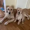 Samuelsson Malincita - @samuelssonmalincitalind0 - TikTok