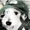 Samuel Mallma - @samuel.mallma0 - TikTok