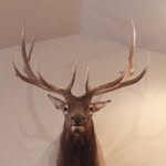 Samuel Marich - @bowhunk76 - Instagram