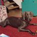 Samuele Maroni - Facebook