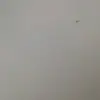 Samuel Mars - @samuel.mars5 - TikTok
