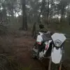 Samuel Mascaró - @samu_mascaro - TikTok