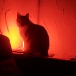 Samuel Mather - @samuelmather - Instagram