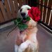 Samuel McClain - Facebook