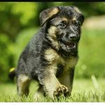 Samuel Mcfadden - @king_sam57 - Instagram
