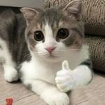 Samuel Mcfarlane - @glizzy3990 - Instagram