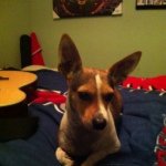 Samuel Barker McGowan - @sam_barker_mcgowan - Instagram