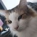 Samuel McKnight - Facebook