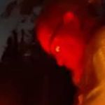 Samuel Mclarty - @samuelmclarty - Instagram
