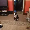 Samuel Mcnutt875 - @samuelmcnutt875 - TikTok