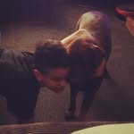 Samuel McRae - @sammy.dawg - Instagram