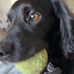 Samuel McRae - Facebook