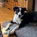 Samuel Mcvey - Facebook