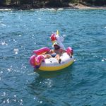 Samuel Meyer - @samuel_meyer_augsburg - Instagram
