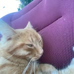 Samuel Millar - @sammillar0 - Instagram