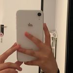 Samuel Morelli - @morelli.samu - Instagram