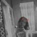 Samuel Morelli - Facebook