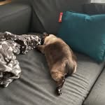 Samuel Cluss - @_samuel_moritz_ - Instagram