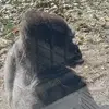 Samuel Mulkey - @samuel.mulkey - TikTok