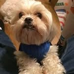 Samuel Mullins - @mullins.samuel - Instagram