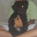 Samuel Murillo - Facebook
