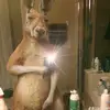 Samuel Murillo - @samuel.murillo029 - TikTok