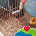 Samuel Natividad - Facebook