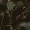 samuellanealy - @samuellanealy - TikTok