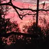 Sam Nelms - @sam.nelms - TikTok