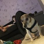 Samuel Nock - @nock.samuel - Instagram