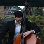 Samuel Nock - @samthebassnock - Instagram