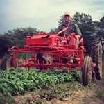 Samuel Nolan - @peoplesfarmer7 - Instagram