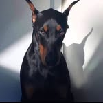 Samuel Nussy - @samuel.nussy.9 - Instagram