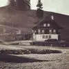 samuelnussbaum3 - @samuelnussbaum3 - TikTok