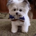 Samuel Olson - @samuel.olson.5688 - Instagram