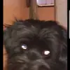 samuelorengo5 - @samuelorengo5 - TikTok