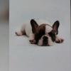 samuel_parent - @samuel_parent - TikTok