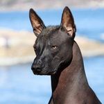 Samuel Parent - @sammboy333 - Instagram