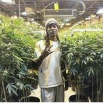 samuelparks - @samuelparks65 - Instagram