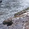 samuel pass - @samuel.pass - TikTok