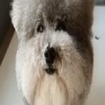 Sam - @samuel.pattison - Instagram
